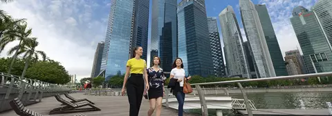 公司注册方案